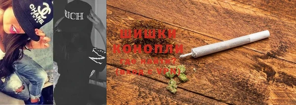 индика Мурманск