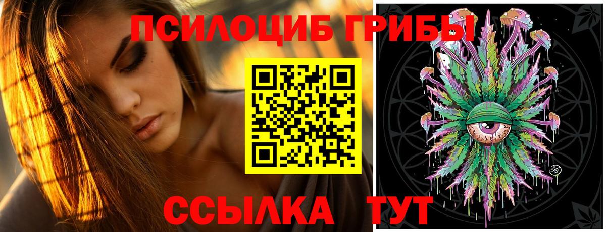 Псилоцибиновые грибы Psilocybe Новочеркасск