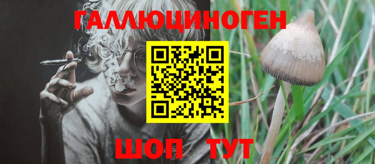 Амфетамин Новочеркасск
